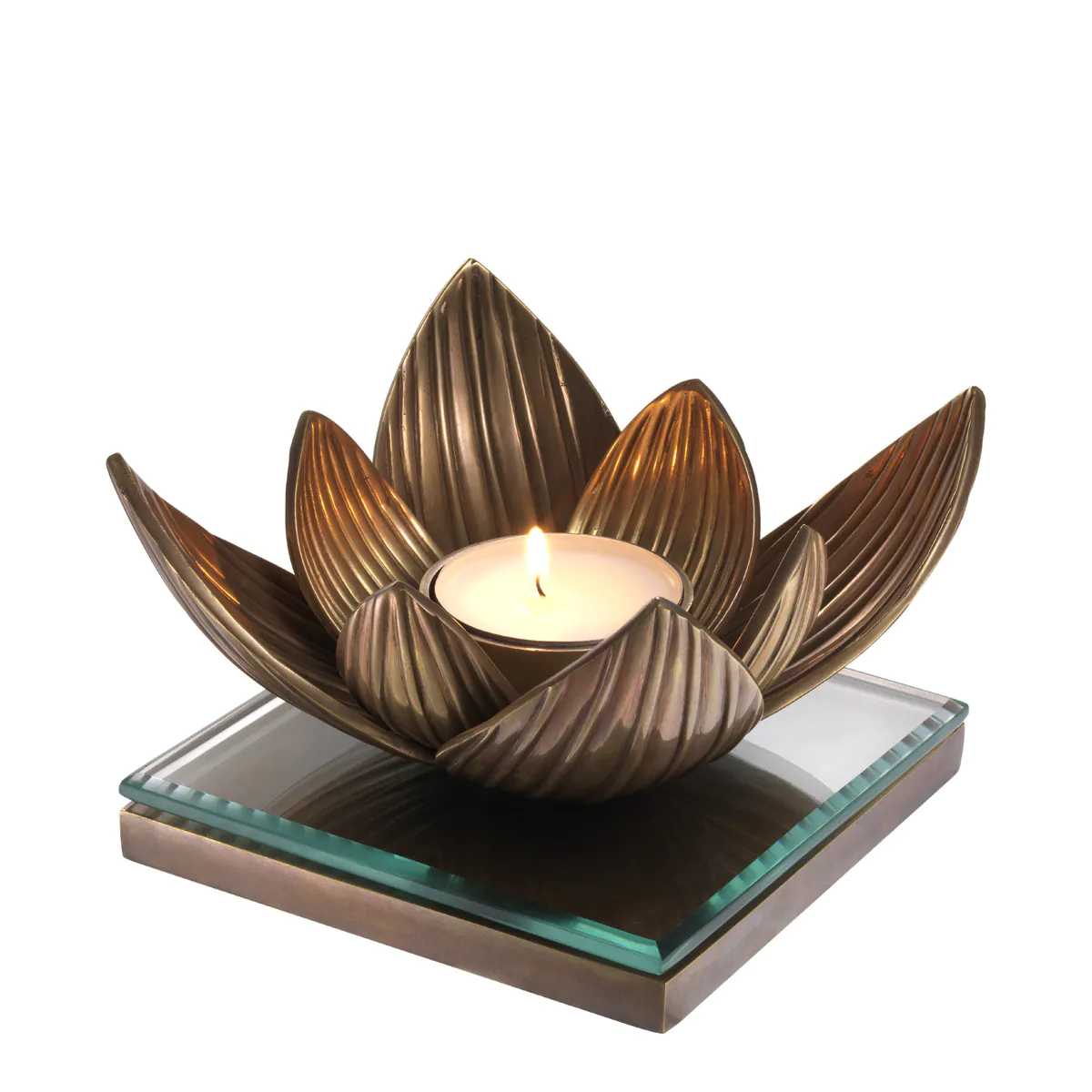 Photophore Lotus