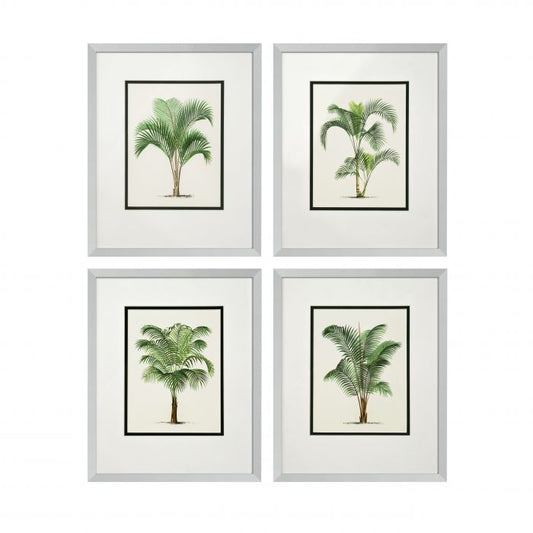 Prints Palms